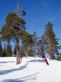 Annalina i Snövit, Idre Fjäll.