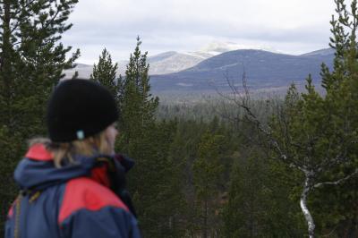 Utsikt från Dyllen