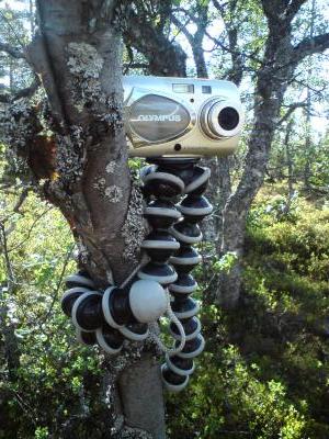 Gorillapod-stativ