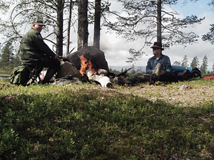 Fikapaus vid tjärn nummer två