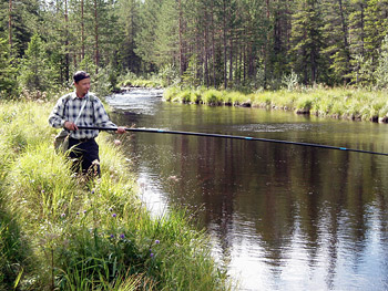 Igor bäckmetar.