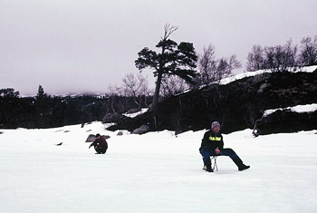 Tobbe och Tosse fiskar