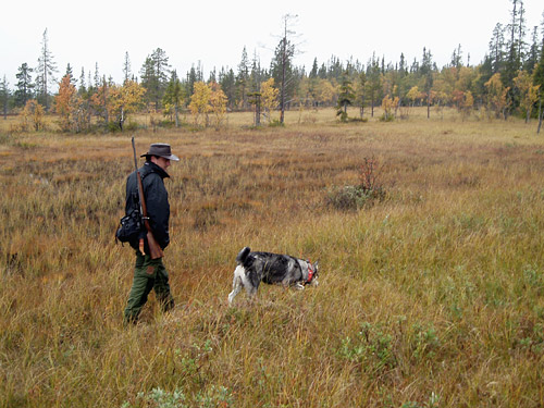 Tomas och Taiga jagar älg, Storfjäten