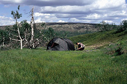 Vacker tältplats vid "Gruvan" i Vedungfjällens naturreservat