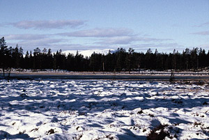 Broktjärn med Nipfjället i bakgrunden