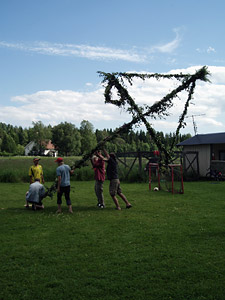 Midsommarstången reses