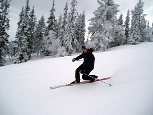 Jag på skidor